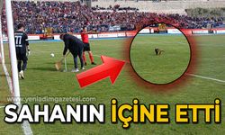 Sahanın içine etti!