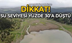 Su seviyesi yüzde 30'a düştü, baraj havzası yeşile büründü