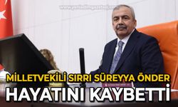 Milletvekili Sırrı Süreyya Önder hayatını kaybetti