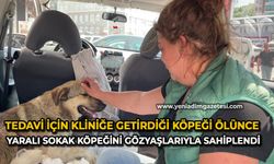 Tedavi için kliniğe getirdiği köpeği ölünce yaralı sokak köpeğini gözyaşlarıyla sahiplendi