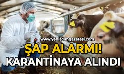 Şap alarmı: Karantinaya alındı