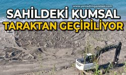 Sahildeki kumsal taraktan geçiriliyor