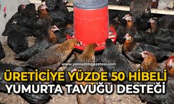 Üreticiye yüzde 50 hibeli yumurta tavuğu desteği