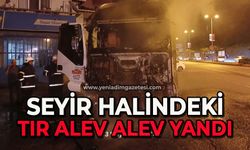 Seyir halindeki tır alev alev yandı