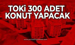 TOKİ 300 adet konut yapacak