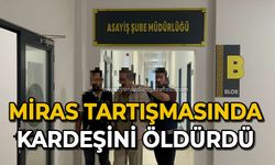 Miras tartışmasında kardeşini öldürdü