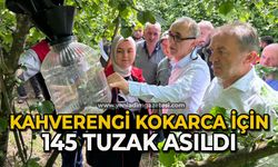 Kahverengi Kokarca için 145 tuzak asıldı