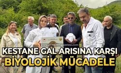 Kestane gal arısına karşı biyolojik mücadele