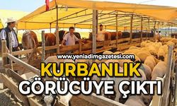 Kurbanlıklar görücüye çıktı