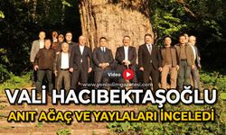 Vali Hacıbektaşoğlu Gümeli’de anıt ağaçları ve yaylaları inceledi