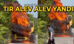 Seyir halindeki damperli tır alev alev yandı