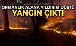 Ormanlık alana düşen yıldırım yangına neden oldu