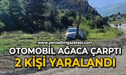Otomobil ağaca çarptı: 2 yaralı