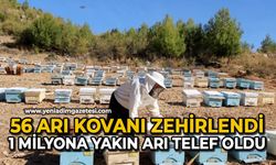 56 arı kovanı zehirlendi: 1 milyona yakın arı telef oldu