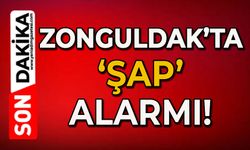 Komşu il Bartın’da hayvanlarda şap hastalığı görüldü. Zonguldak’ta alarm verildi.