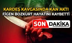 Kardeş kavgasında kan aktı: Figen Bozkurt hayatını kaybetti