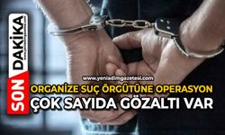 Organize suç örgütüne operasyon: Çok sayıda gözaltı var