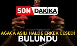 Ağaca asılı halde erkek cesedi bulundu
