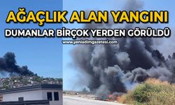 Ağaçlık alan yangını: Dumanlar birçok yerden görüldü
