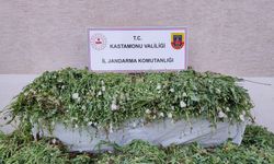 120 bin kök haşhaş ele geçirildi