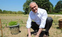 Ata tohumları toprakla buluştu
