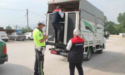 Hayvan pazarında sıkı denetim