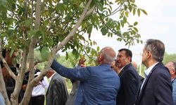 TBMM Zirai Don Araştırma Komisyonu, Bolu’da inceleme yaptı