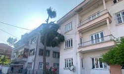 Yıkılma tehlikesi olan ağaç itfaiye ekipleri tarafından kesilecek