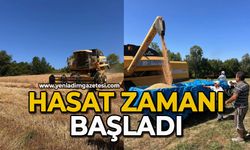 Hasat zamanı başladı
