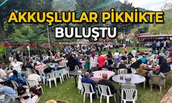 Akkuşlular piknikte buluştu