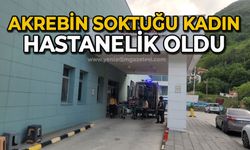 Akrebin soktuğu kadın hastanelik oldu