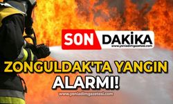 Zonguldak'ta yangın alarmı!