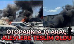 Otoparkta 10 araç alevlere teslim oldu