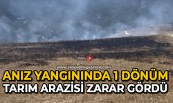 Anız yangınında 1 dönüm tarım arazisi zarar gördü