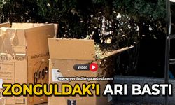 Zonguldak’ı arı bastı