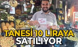 Tanesi 10 liraya satılıyor