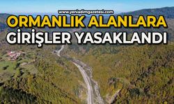 Ormanlık alanlara girmek yasaklandı