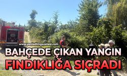 Bahçede çıkan yangın fındıklığa sıçradı