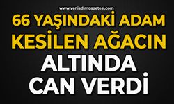 66 yaşındaki adam kesilen ağacın altında can verdi