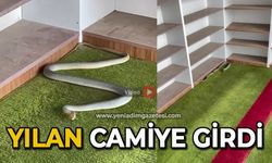 Yılan camiye girdi