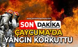 Çaycuma’da yangın korkuttu