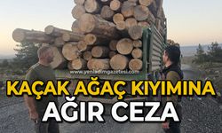 Kaçak ağaç kıyımına ağır ceza