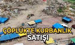 Çöplükte kurbanlık satışı
