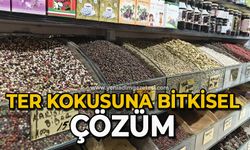 Ter kokusuna bitkisel çözüm