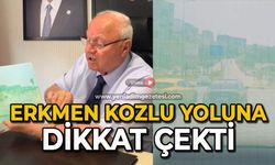 Erkmen Kozlu yoluna dikkat çekti