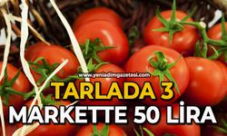 Tarlada 3, Markette 50 Lira