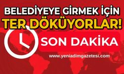 Belediyeye girmek için ter döküyorlar!
