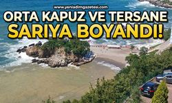 Orta Kapuz ve Tersane sarıya boyandı