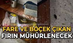 Fare ve böcek çıkan fırın mühürlenecek