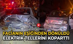 Facianın eşiğinden dönüldü: Elektrik tellerini koparttı